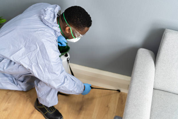 Best Real Estate Pest Inspections  in Des Allemands, LA